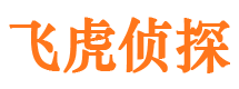 九里市侦探公司